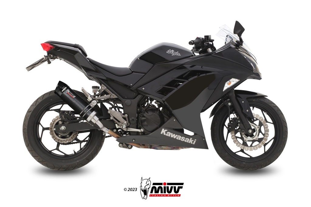 Mivv Slip-On GP carbon con tapa carbono Kawasaki Ninja 300 2013-16 / Z300 2015-16