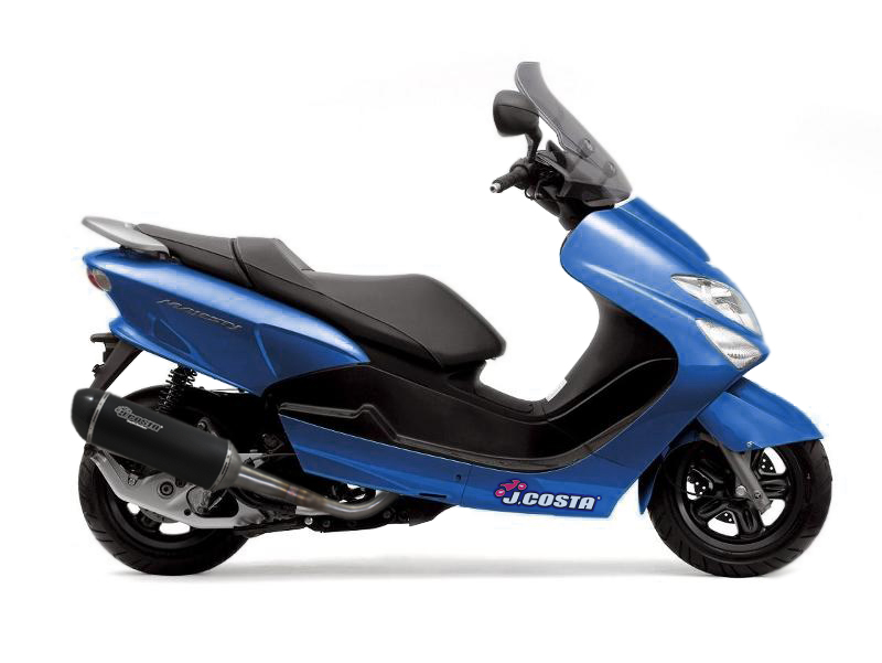 Échappement Sport Carbon approuvé per Yamaha Majesty 180