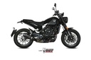 Mivv Slip-On Oval carbono con tapa carbono Benelli Leoncino 2019-23